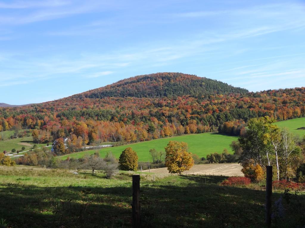 Inn At Buck Hollow Farm Fairfax Esterno foto